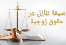 صياغة أقوى نموذج للتنازل عن الحقوق الزوجية 14 صياغة أقوى نموذج للتنازل عن الحقوق الزوجية 3