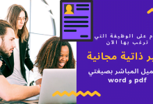 أجمل نماذج سير ذاتية احترافية لعام 2021 19 تحميل نموذج سيرة ذاتية فارغ pdf