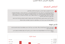 نموذج عرض مشروع ناجح 8 نموذج عرض مشروع ناجح