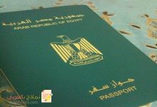 تحميل نموذج توكيل خاص من السفارة المصرية بالسعودية 2022 25 نموذج-توكيل-خاص-من-السفارة-المصرية-بالسعودية
