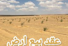تحميل أقوى صيغة عقد بيع ارض word جاهز للطباعة 28 تحميل أقوى صيغة عقد بيع ارض word جاهز للطباعة 4