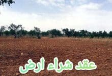 حمل نموذج عقد شراء ارض بنقرة واحدة 26 حمل نموذج عقد شراء ارض بنقرة واحدة 2