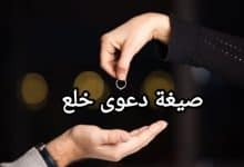 تحميل أقوى نموذج صيغة دعوى خلع 2023 35 تحميل أقوى نموذج صيغة دعوى خلع 2023 1