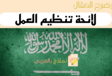 تحميل نموذج لائحة تنظيم العمل pdf و doc جاهز للتعبئة 27 دليل صياغة لائحة تنظيم العمل pdf