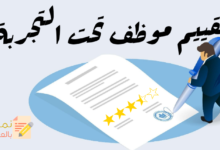 نموذج تقييم موظف تحت التجربة واتخاذ القرار بخصوصه 14 تقييم موظف تحت التجربة مصغرة