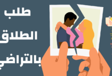 كيفية صياغة طلب الطلاق بالتراضي وإجراءاته 19 طلب الطلاق بالتراضي مصغرة