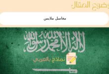 5 أسباب تجعلك تبدأ بمشروع مغاسل ملابس في المملكة السعودية 18 مغاسل ملابس
