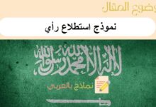 دليل شامل حول نموذج استطلاع رأي: 4 نماذج جاهزة للطباعة 12 نموذج استطلاع رأي